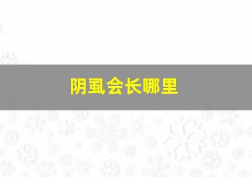 阴虱会长哪里