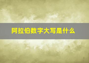 阿拉伯数字大写是什么