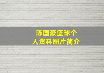 陈国豪篮球个人资料图片简介