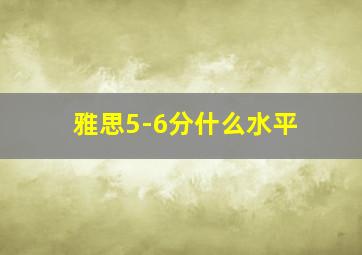 雅思5-6分什么水平