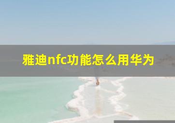 雅迪nfc功能怎么用华为