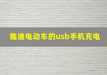 雅迪电动车的usb手机充电