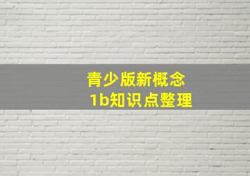 青少版新概念1b知识点整理