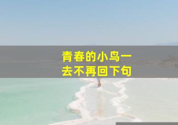 青春的小鸟一去不再回下句