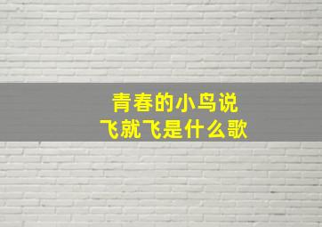 青春的小鸟说飞就飞是什么歌