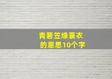 青箬笠绿蓑衣的意思10个字