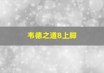 韦德之道8上脚