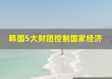 韩国5大财团控制国家经济