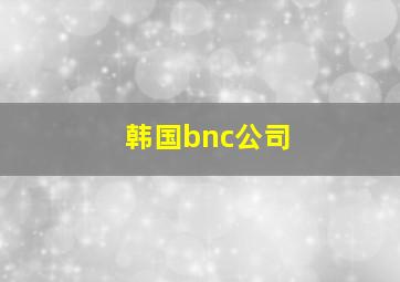 韩国bnc公司