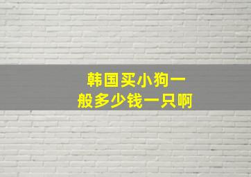 韩国买小狗一般多少钱一只啊