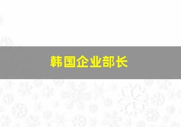 韩国企业部长