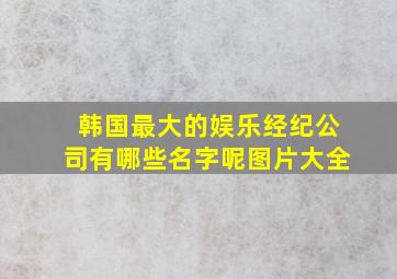 韩国最大的娱乐经纪公司有哪些名字呢图片大全