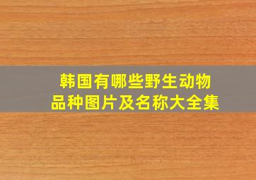 韩国有哪些野生动物品种图片及名称大全集