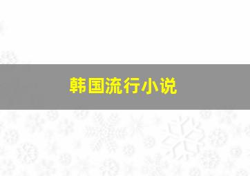 韩国流行小说