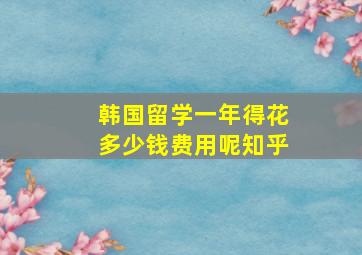 韩国留学一年得花多少钱费用呢知乎