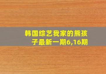 韩国综艺我家的熊孩子最新一期6,16期