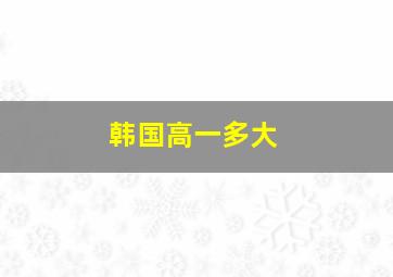 韩国高一多大