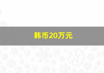 韩币20万元