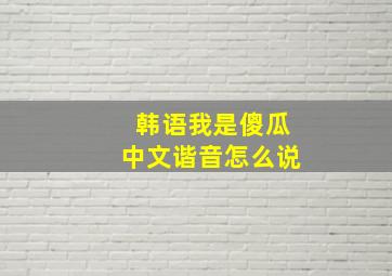 韩语我是傻瓜中文谐音怎么说