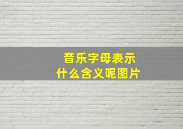 音乐字母表示什么含义呢图片