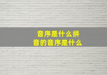 音序是什么拼音的音序是什么