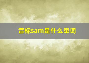 音标sam是什么单词