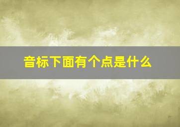 音标下面有个点是什么