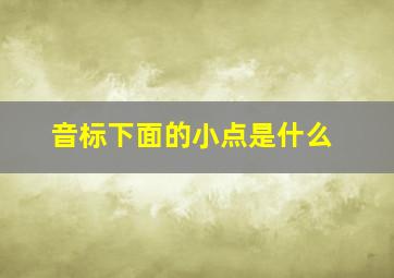 音标下面的小点是什么