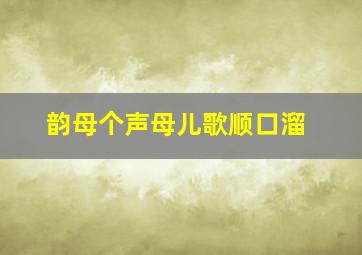 韵母个声母儿歌顺口溜