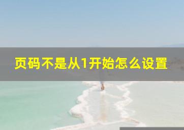 页码不是从1开始怎么设置