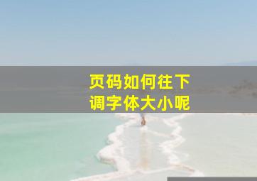 页码如何往下调字体大小呢