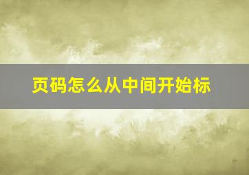 页码怎么从中间开始标