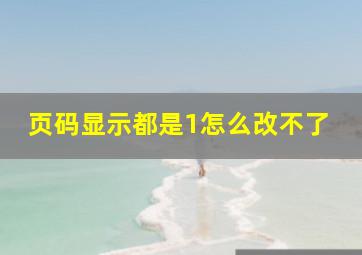 页码显示都是1怎么改不了