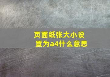 页面纸张大小设置为a4什么意思