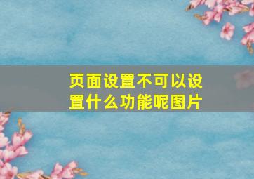 页面设置不可以设置什么功能呢图片