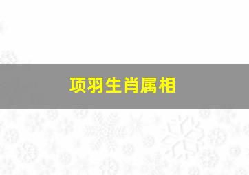 项羽生肖属相