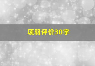 项羽评价30字