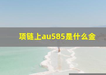 项链上au585是什么金