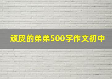 顽皮的弟弟500字作文初中