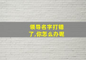 领导名字打错了,你怎么办呢