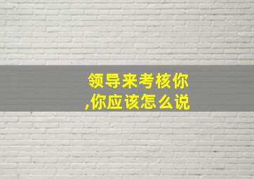 领导来考核你,你应该怎么说