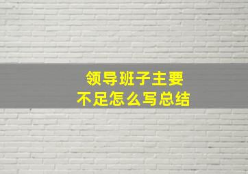 领导班子主要不足怎么写总结