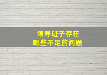 领导班子存在哪些不足的问题