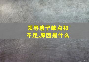 领导班子缺点和不足,原因是什么