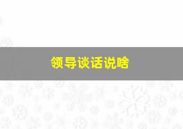 领导谈话说啥