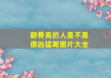 颧骨高的人是不是很凶猛呢图片大全