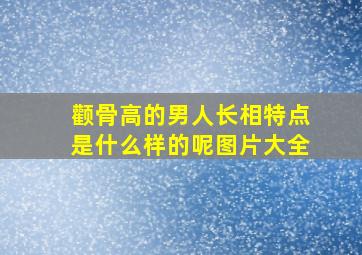 颧骨高的男人长相特点是什么样的呢图片大全