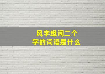 风字组词二个字的词语是什么