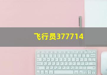 飞行员377714