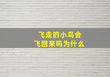 飞走的小鸟会飞回来吗为什么